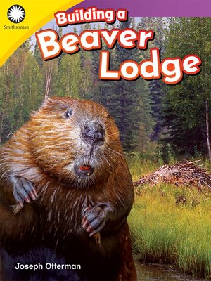 cover image of Building a Beaver Lodge